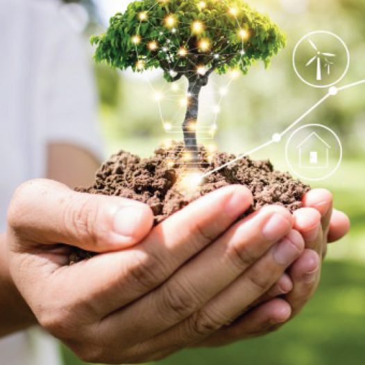 Sustainability strategies in the energy sector